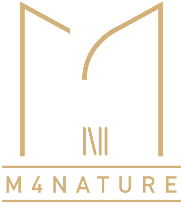 Odoo • Image et Texte