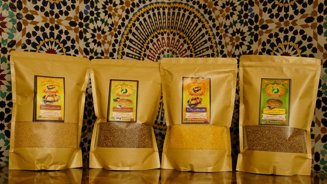 Odoo • Image et Texte