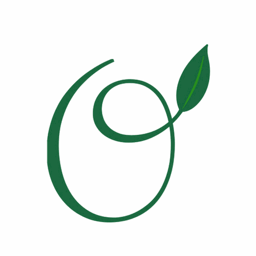 Odoo • Image et Texte